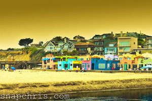 【高级功能版】全面解锁的网站攻击软件