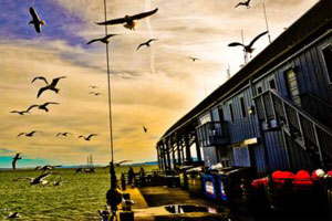 在线DDOS攻击平台