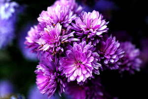 服务器攻击软件